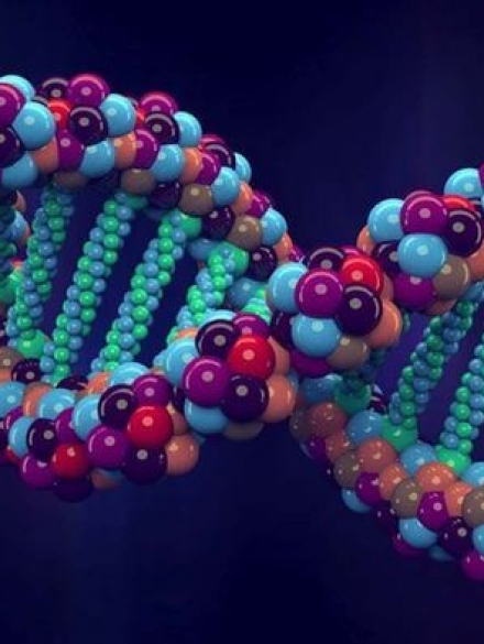 case_study_genome_DNA